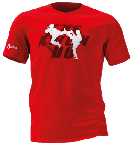 Футболка TT Taekwondo GERA TKD8