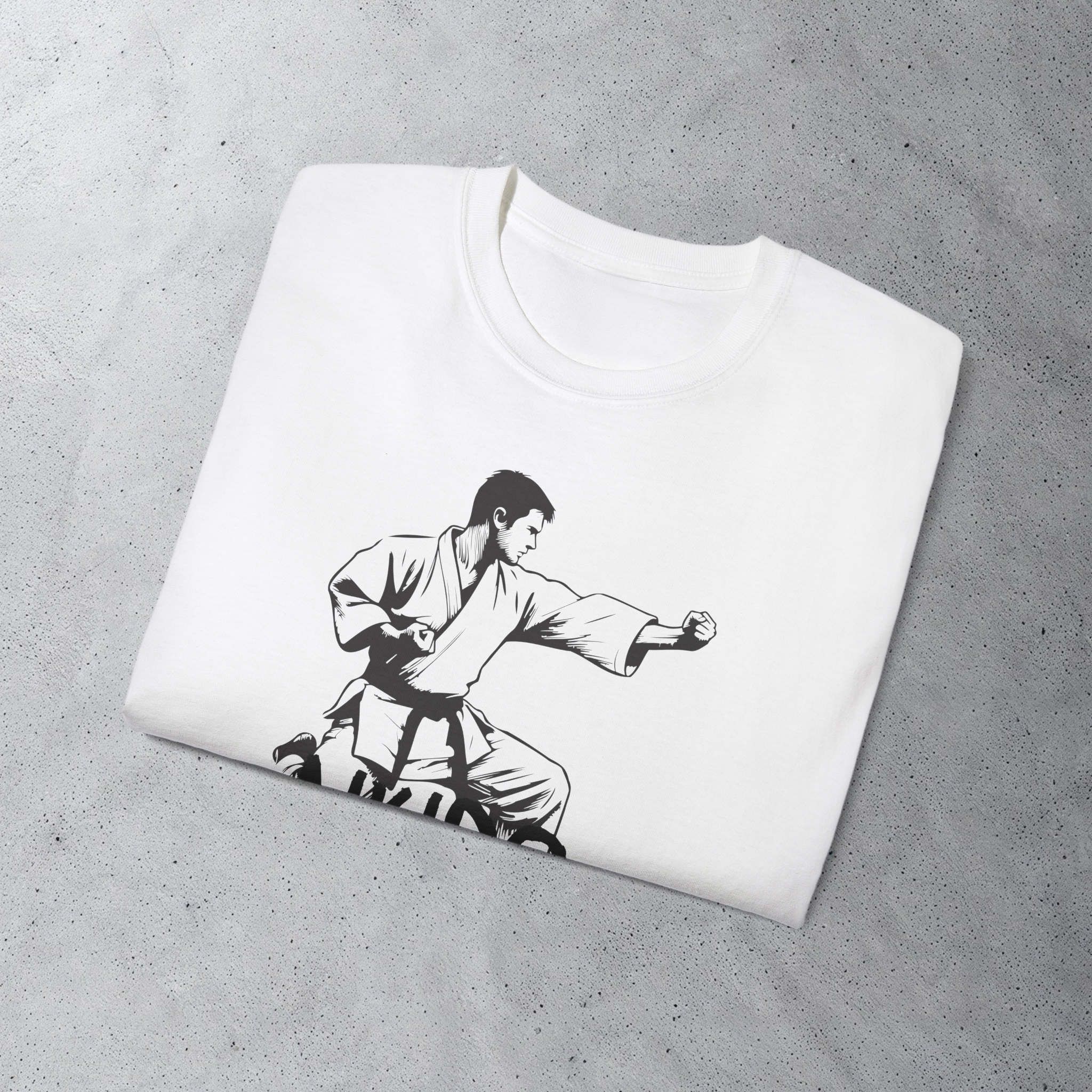 Футболка Aikido promo GERA A2