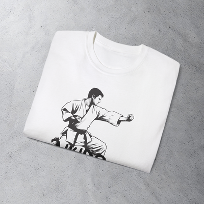 Футболка Aikido promo GERA A2