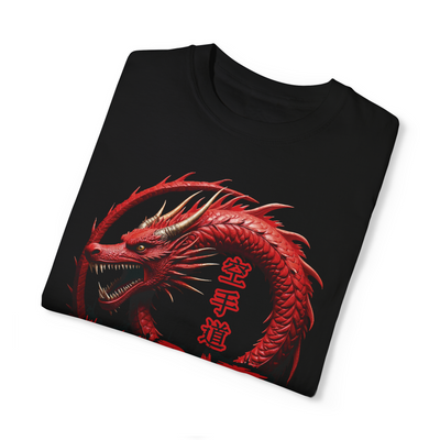 Футболка TT Karate GERA K29