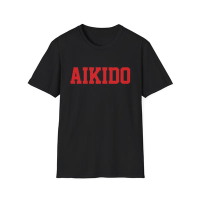 Футболка TT Aikido GERA A24