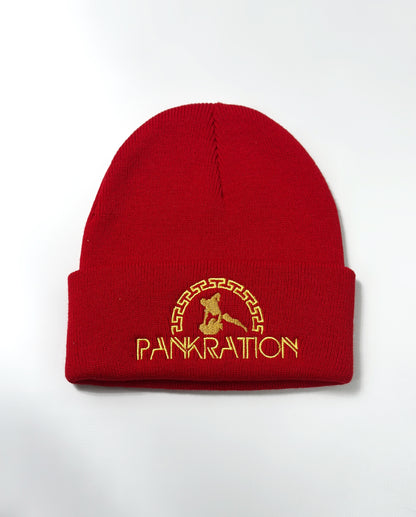 Шапка Pankration Gera P19