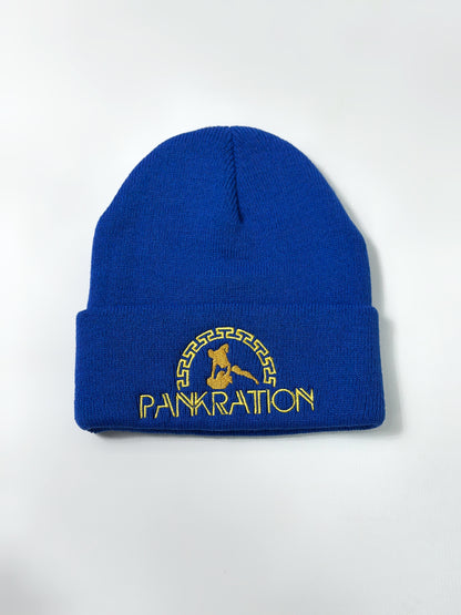 Шапка Pankration Gera P19