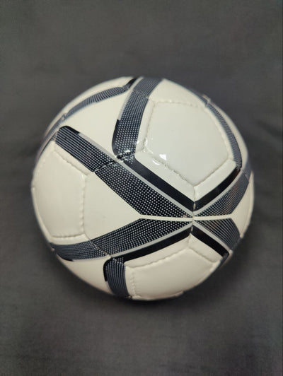 Minge de futsal GERA 31.13
